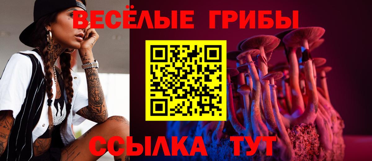 Псилоцибиновые грибы прущие грибы Ростов Великий