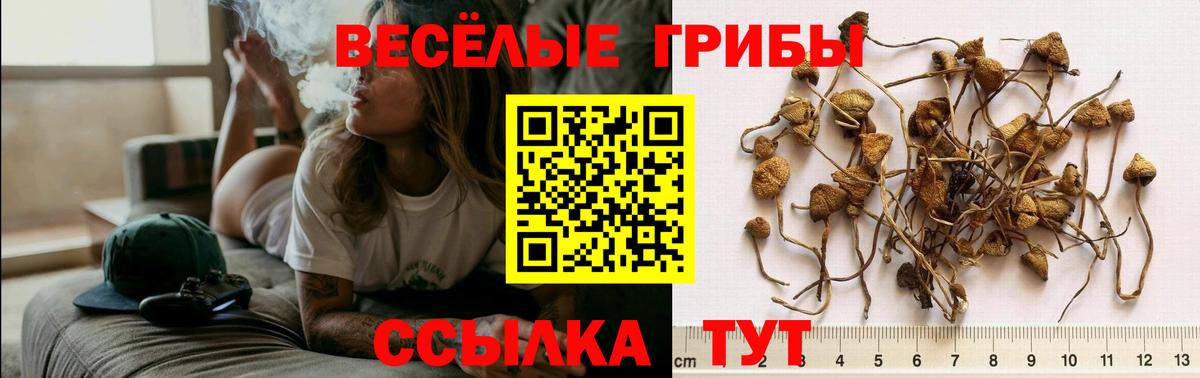 Псилоцибиновые грибы мухоморы  Вход с VPN  Ростов Великий 
